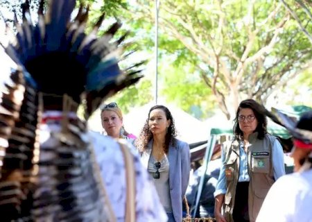 Lideranças indígenas de Caarapó e Dourados relatam medo e cobram medidas protetivas em Brasília
