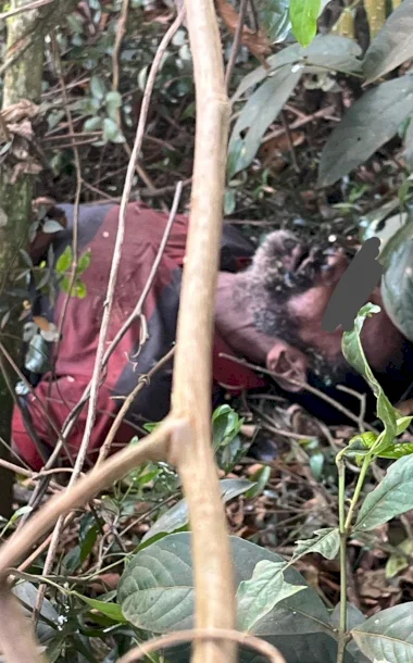 Corpo em avançado estado de decomposição é encontrado em fazenda na zona rural de Caarapó