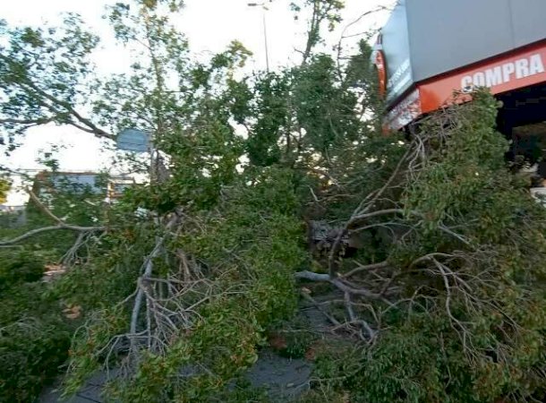 Semana come&ccedil;a com risco de temporal, granizo e ventos fortes