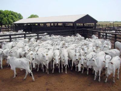 Famasul discute ZAV com produtores