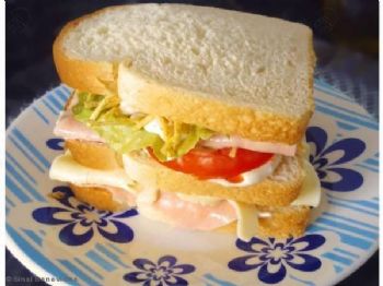 Sanduíche natural simples e delicioso