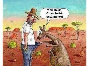 O homem e o canguru