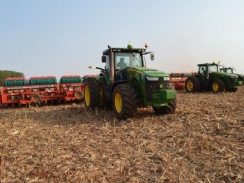 Produtores de MS já plantaram quase metade da área de soja da safra 16/17