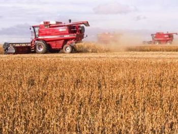 Mato Grosso do Sul começa a colheita de soja em ritmo lento