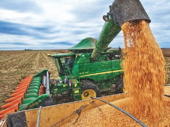 Lançamento estadual da colheita do milho safrinha será feito hoje