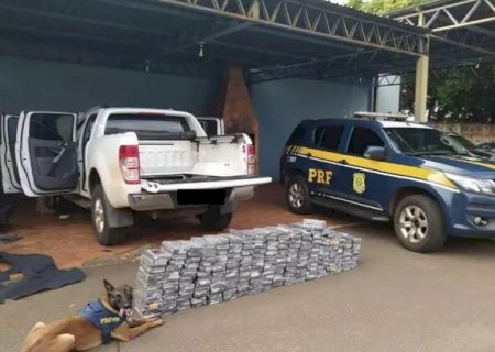 Com ajuda de cães farejadores, PRF apreende R$ 36 milhões em cocaína em MS