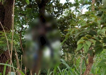 Homem &eacute; assassinado e tem corpo pendurado com arame farpado em &aacute;rvore