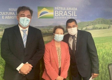 A pedido de vereador, Neno Razuk solicita recursos para asfalto em vias de Paranhos