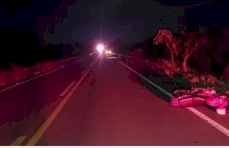 Motociclista de 18 anos morre depois de atropelar anta na MS-395