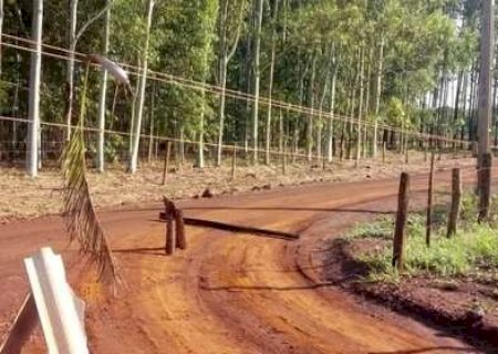 Motorista perde controle, carro capota e jovem morre ao ser lan&ccedil;ado para fora