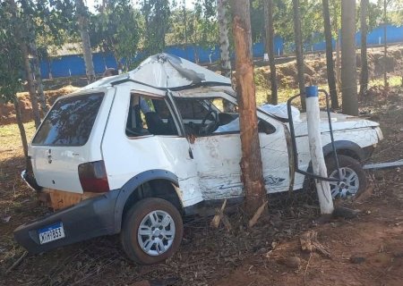 Motorista de 22 anos morre próximo a Caarapó após bater contra eucaliptos>