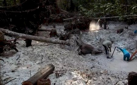 EUA monitoram ligação entre PCC e garimpo ilegal na Amazônia