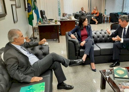 Reinaldo e Riedel se encontraram com Tebet antes de reunião tucana em Brasília
