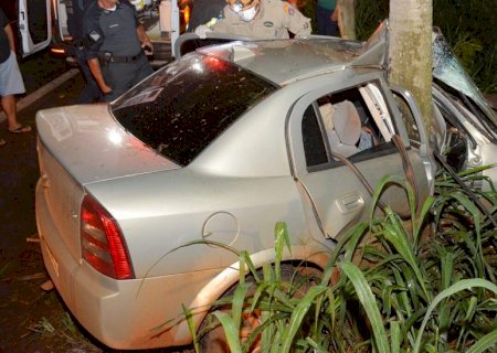 Veículo roda na pista e “abraça” árvore após colisão na BR-376