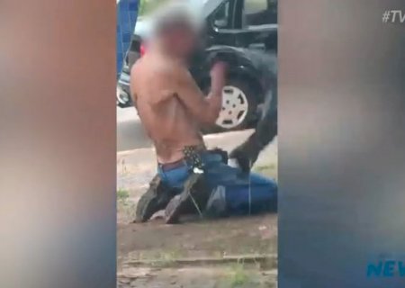 Idoso é encaminhado para hospital após ser ferroado por mais de 500 vezes por abelhas