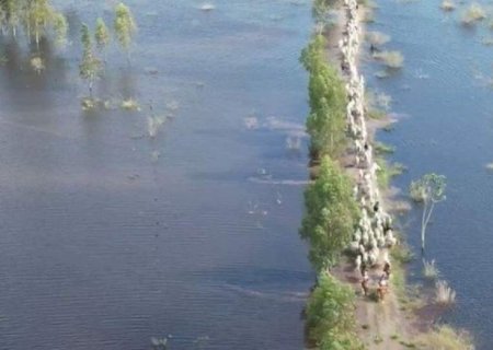 Hidrelétrica é alvo do MP por abrir comportas e causar inundações em fazendas