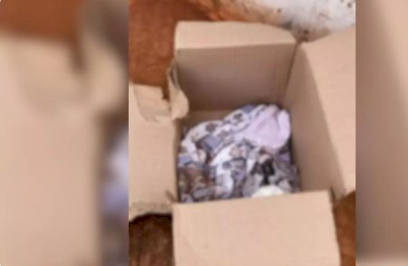 Polícia segue sem informações sobre família de bebê de 10 meses abandonado em MS