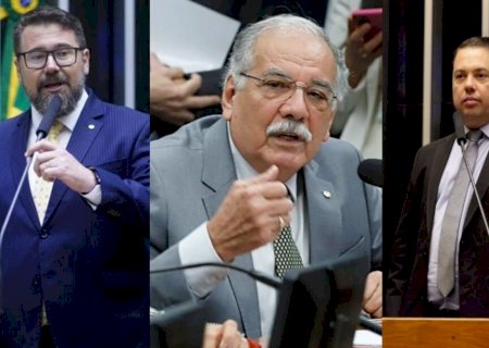MS tem votos de três deputados contrários ao novo arcabouço fiscal