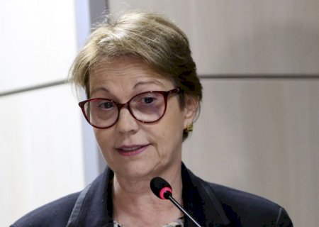Tereza Cristina se descola de Bolsonaro e sinaliza apoio a reforma tributária
