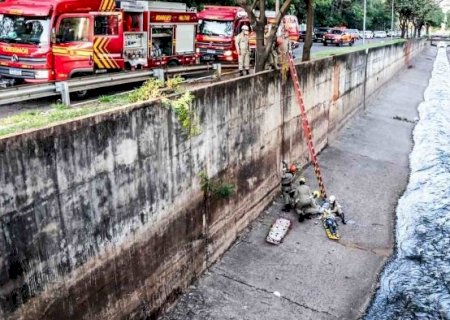 Cinco testemunhas foram ouvidas no caso de médica veterinária que caiu em córrego em MS