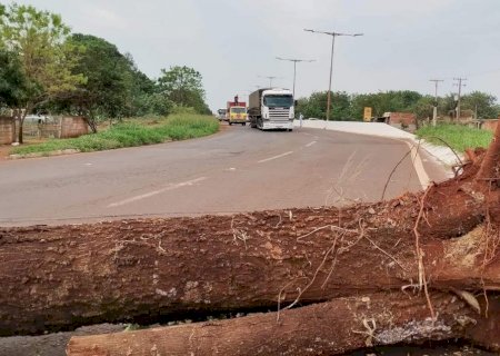 Indígenas bloqueiam MS-156 para cobrar mais segurança em aldeias