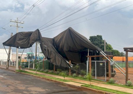 Ventos superaram 80 km/h em Chapadão e Pedro Gomes, onde tempo causou estragos