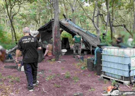 Indígena é autuado após fiscalização identificar 3 áreas de exploração de madeira próximas a aldeias de MS