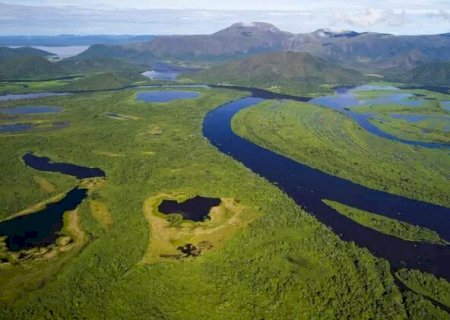 Pantanal entra na pauta do STF em cobrança de plano governamental de preservação