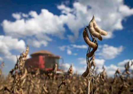 MS encerra com atraso a colheita da soja e com perdas previstas de R$ 10 bilhões