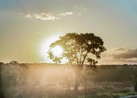 Campo Grande e mais 31 cidades estão sob alerta de baixa umidade