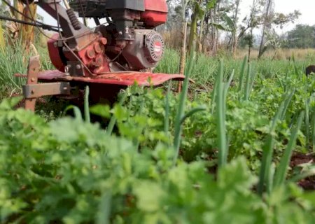 Governo de MS vai comprar alimentos da agricultura familiar para doação