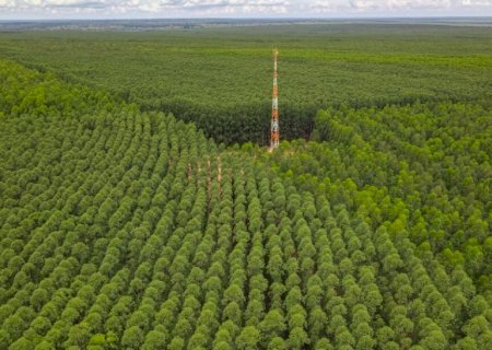 Lucro da Eldorado cai 65%, mas ainda é de R$ 3,4 milhões por dia