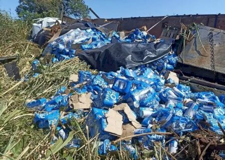 Carreta carregada de cerveja tomba e carga fica espalhada às margens da MS-276