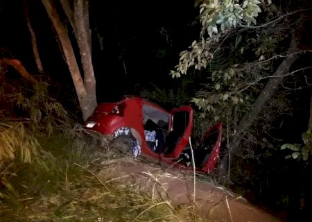 Jovem de 17 anos morre após carro colidir com árvore na MS-339