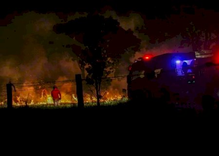 Incêndio na saída para Três Lagoas consome 5 hectares de área verde