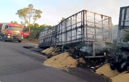 Roda de carreta pega fogo na rodovia MS-338 e carga de milho é consumida pelas chamas