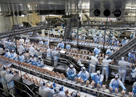 Exportação de industrializados de MS alcança US$ 2,37 bilhões entre janeiro e maio