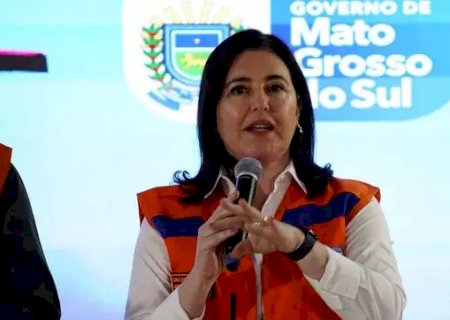 Simone garante que não faltarão recursos para combater incêndios no Pantanal