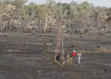 Área queimada do Pantanal pode exceder 2 milhões de hectares até o fim do ano