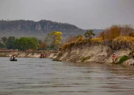 Em MS, projeto irá reflorestar 2 mil hectares de vegetação no Alto Taquari