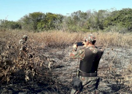 Multas por incêndios no Pantanal já somam R$53,8 milhões