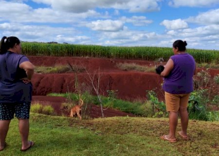Intoxicações por agrotóxicos dobram em Mato Grosso do Sul