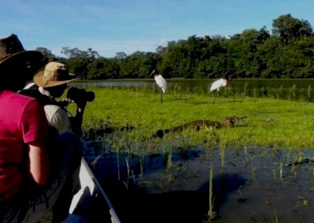 Mato Grosso do Sul lança nova campanha de promoção turística no mercado norte-americano
