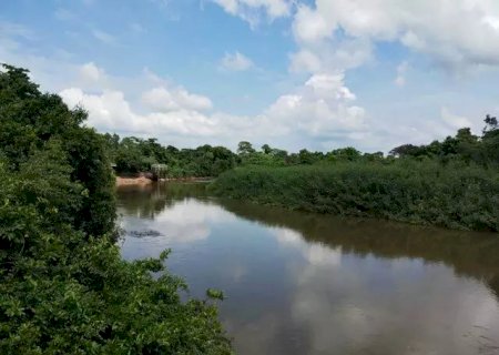 Pantanal é o bioma que mais secou no Brasil