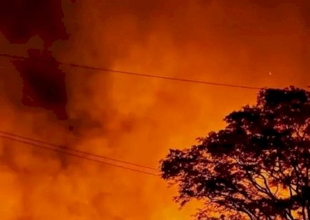 Incêndio de grandes proporções atinge vegetação às margens da BR-376
