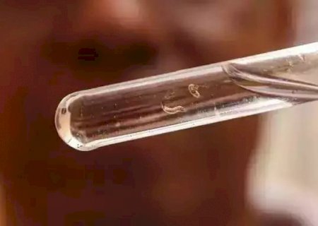 Estado chega a 20 mil casos prováveis de dengue em semana sem mortes