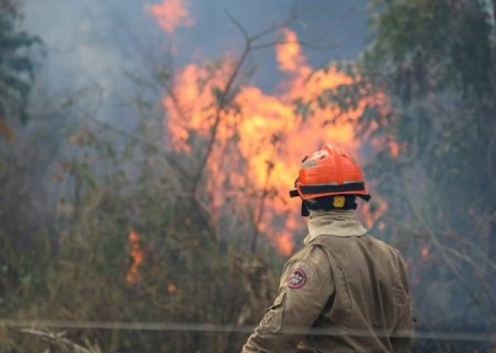 Operação Pantanal: bombeiros de MS lutam para conter grandes chamas na região do Nabileque