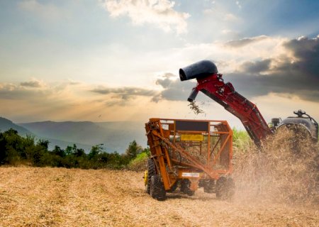 Exportações do agronegócio brasileiro atingem US$ 15,20 bi em junho e US$ 82,39 bi no semestre