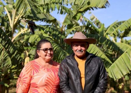 Produtor rural de Miranda opta por investir no segmento de bananeiras