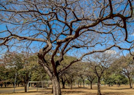 Inmet alerta sobre baixa umidade no Centro-Oeste e no Tocantins